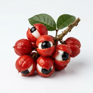 Guaraná