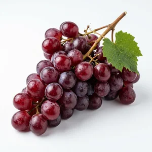 Resveratrol